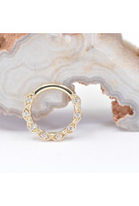 BVLA 16g 5/16" Violet Clicker Ring with Genuine VS Diamonds in 14k Yellow Gold by BVLA!