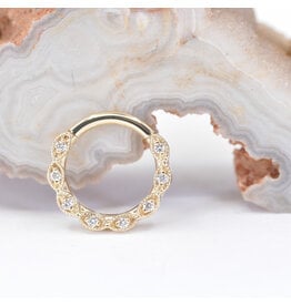 BVLA Violet Diamond Yellow Gold 16g 5/16" Clicker Ring