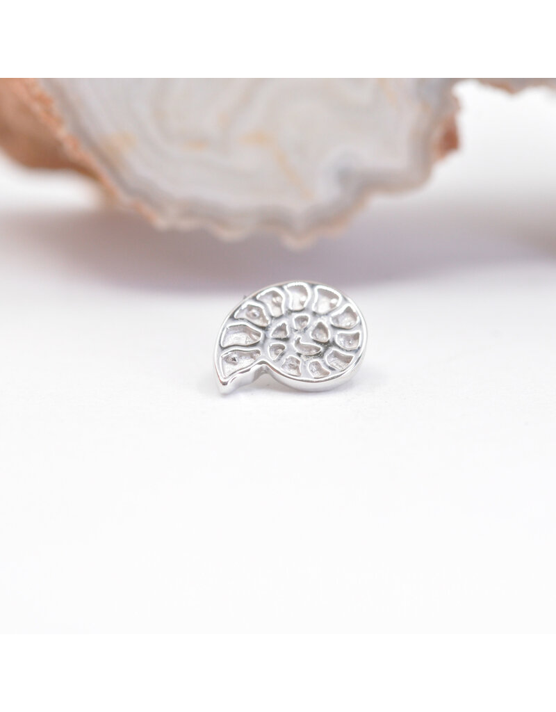BVLA Nautilus 16g Threaded Ends in 14k Gold by BVLA!