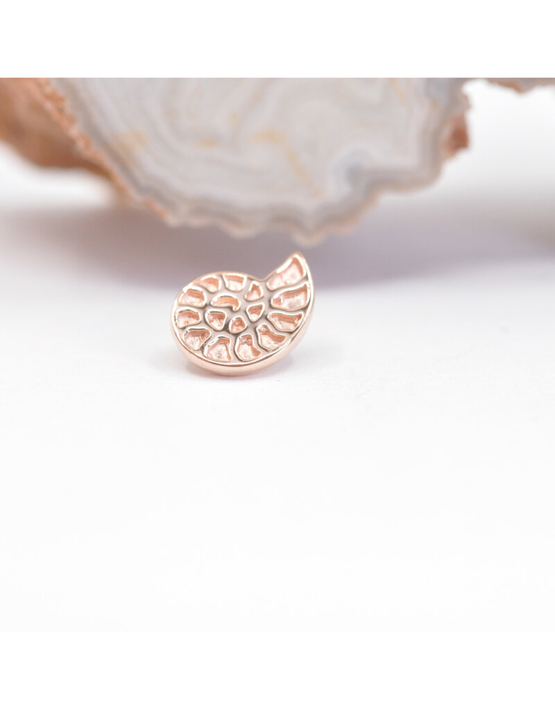 BVLA Nautilus 16g Threaded Ends in 14k Gold by BVLA!