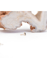 BVLA 2mm Cup with Rose Cut Black Diamond in 14k Yellow Gold Threadless Ends by BVLA!