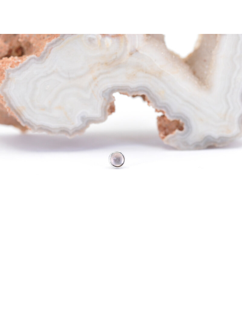 BVLA 2mm Cup with Rose Cut Chalcedony in 14k White Gold Threadless Ends by BVLA!