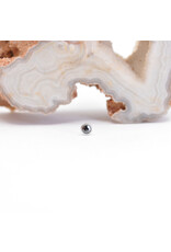 BVLA 2mm Cup with Rose Cut Black Diamond in 14k White Gold Threadless Ends by BVLA!