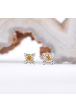 BVLA 5mm Mini Kandy with Honey Topaz in 14K White Gold Threadless Ends
