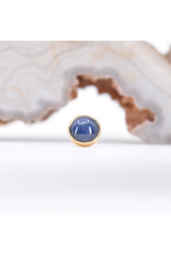 BVLA 4mm Cup with Blue Star Sapphire in 14k Yellow Gold Threadless Ends