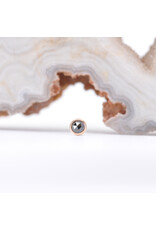 BVLA 2mm Cup with Rose Cut Genuine Black Diamond in 14k Rose Gold Threadless Ends