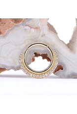 BVLA 16g 3/8" Dahlia XL Clicker Ring with Genuine VS Diamonds in 14k Yellow Gold by BVLA