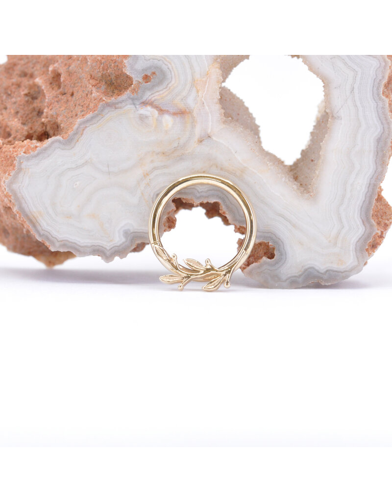BVLA 16g 3/8" Right Facing Amity Seam Rings in 14k Gold by BVLA!