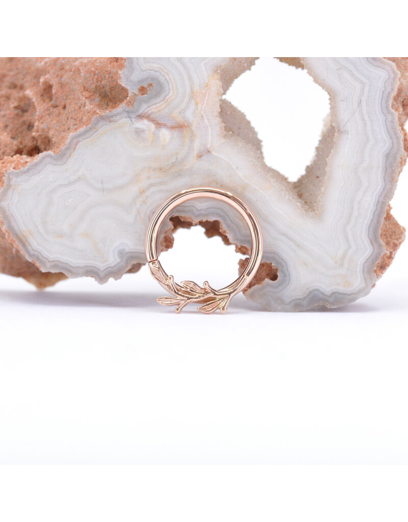 BVLA 16g 3/8" Right Facing Amity Seam Rings in 14k Gold by BVLA!