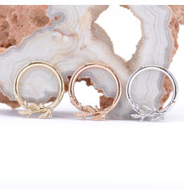 BVLA Amity 14k Gold 16g 3/8" Seam Rings