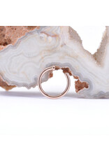 BVLA 18g 5/16" Nostril Nail with 1.5mm Disc in 14k Rose Gold by BVLA!