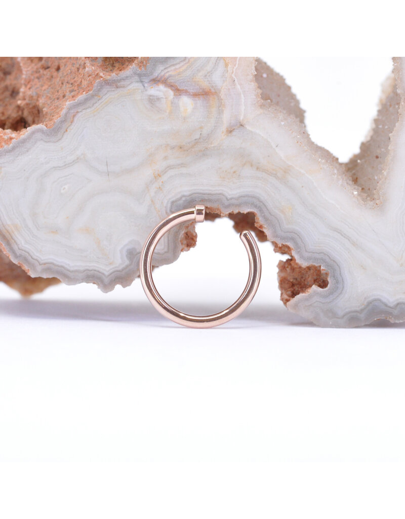 BVLA 18g 5/16" Nostril Nail with 1.5mm Disc in 14k Rose Gold by BVLA!