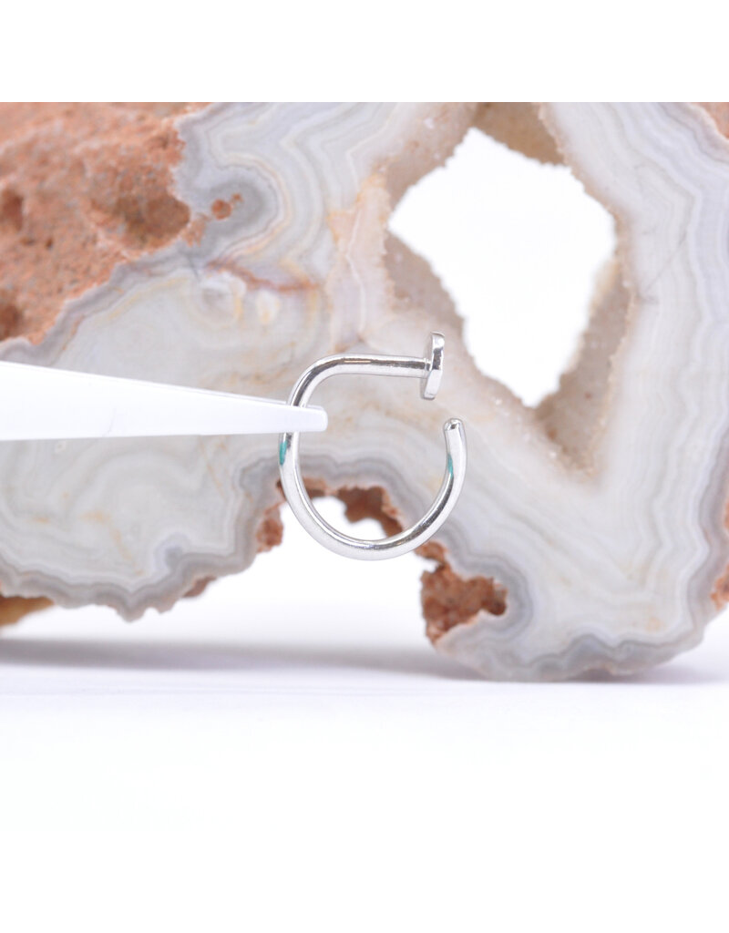 BVLA 18g 5/16" Nostril Snail with 3mm Hammered Disc in 14k Gold by BVLA!