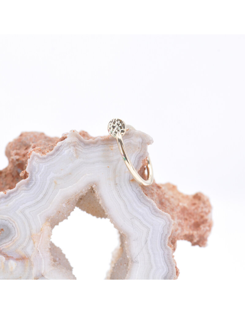 BVLA 18g 5/16" Nostril Snail with 3mm Hammered Disc in 14k Gold by BVLA!