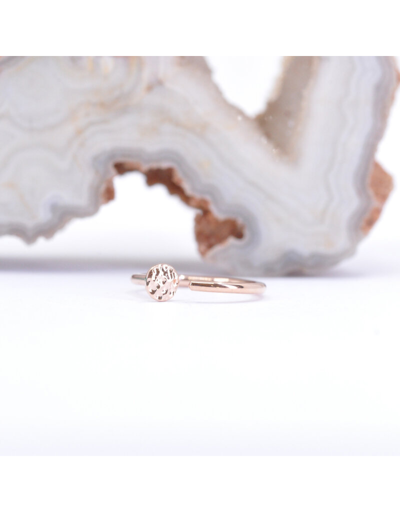 BVLA 18g 5/16" Nostril Snail with 3mm Hammered Disc in 14k Gold by BVLA!