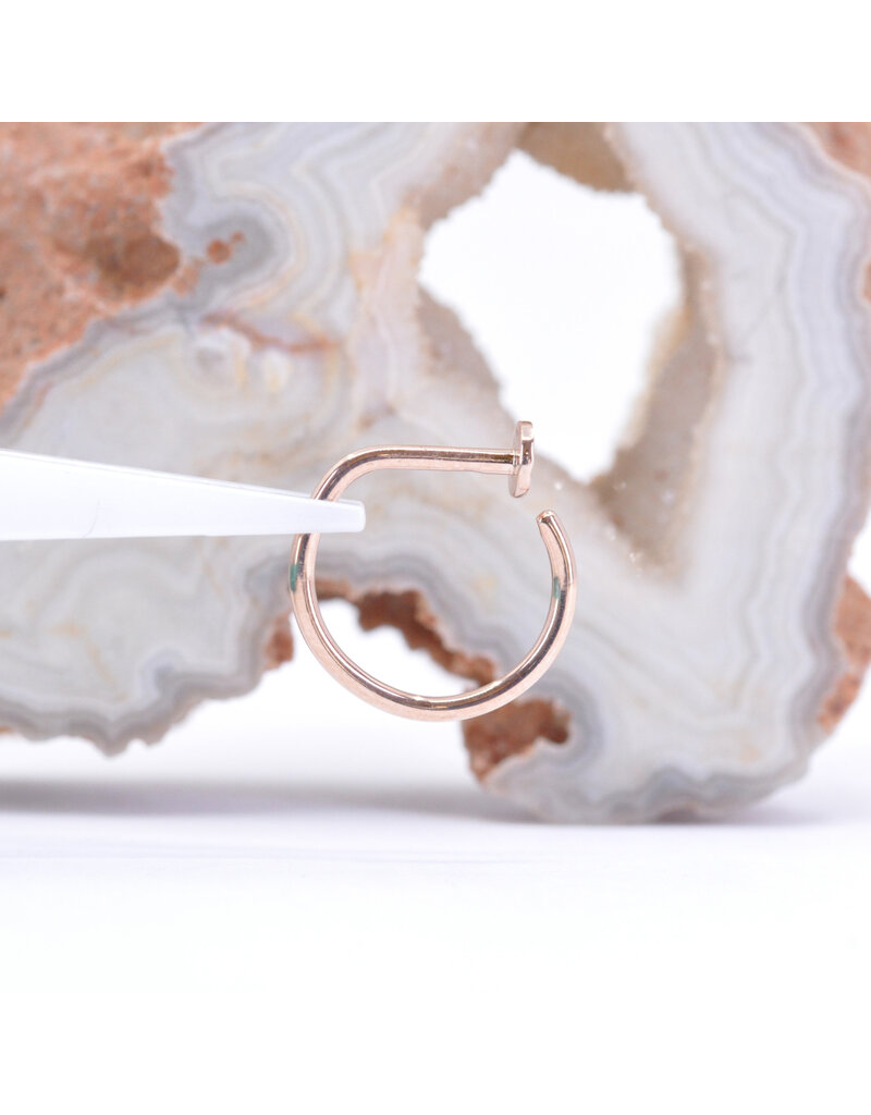 BVLA 18g 5/16" Nostril Snail with 3mm Hammered Disc in 14k Gold by BVLA!