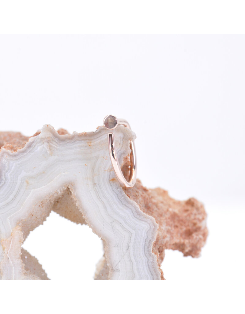 BVLA 14k Gold 18g Nostril Snail with Polished Disc by BVLA!