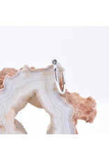 BVLA 14k Gold 18g Nostril Snail with Polished Disc by BVLA!