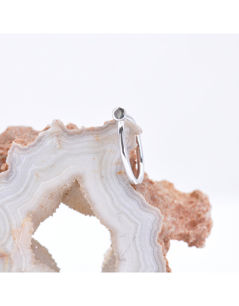 BVLA 14k Gold 18g Nostril Snail with Polished Disc by BVLA!
