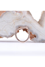 BVLA 14k Gold 18g Nostril Snail with Polished Disc by BVLA!