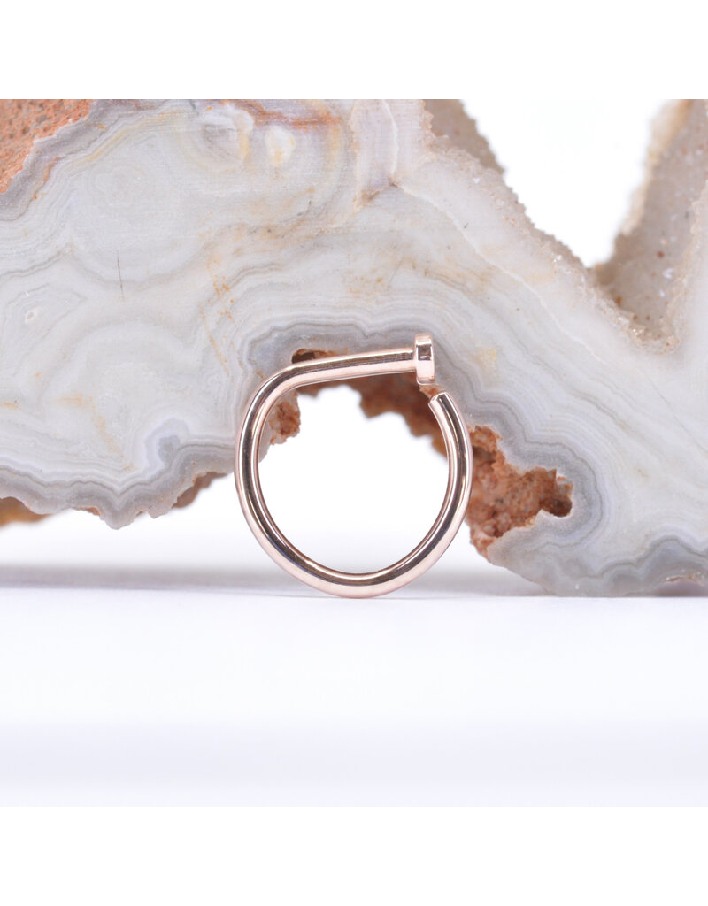 BVLA 14k Gold 18g Nostril Snail with Polished Disc by BVLA!