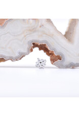 BVLA 4mm Reema with CZ in 14k Gold Threadless Ends by BVLA!