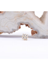 BVLA 4mm Reema with CZ in 14k Gold Threadless Ends by BVLA!