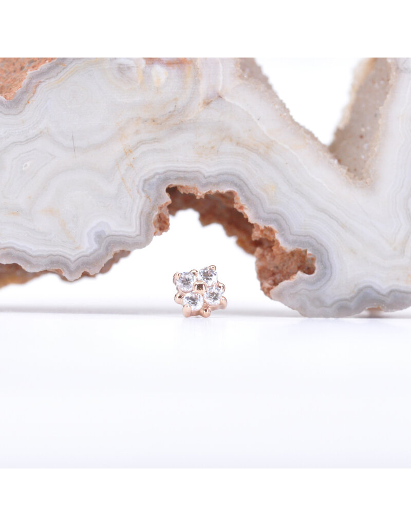 BVLA 4mm Reema with CZ in 14k Gold Threadless Ends by BVLA!