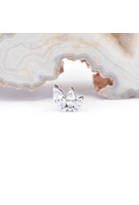 BVLA French Kiss with CZ 16g Threaded Ends in 14k Gold