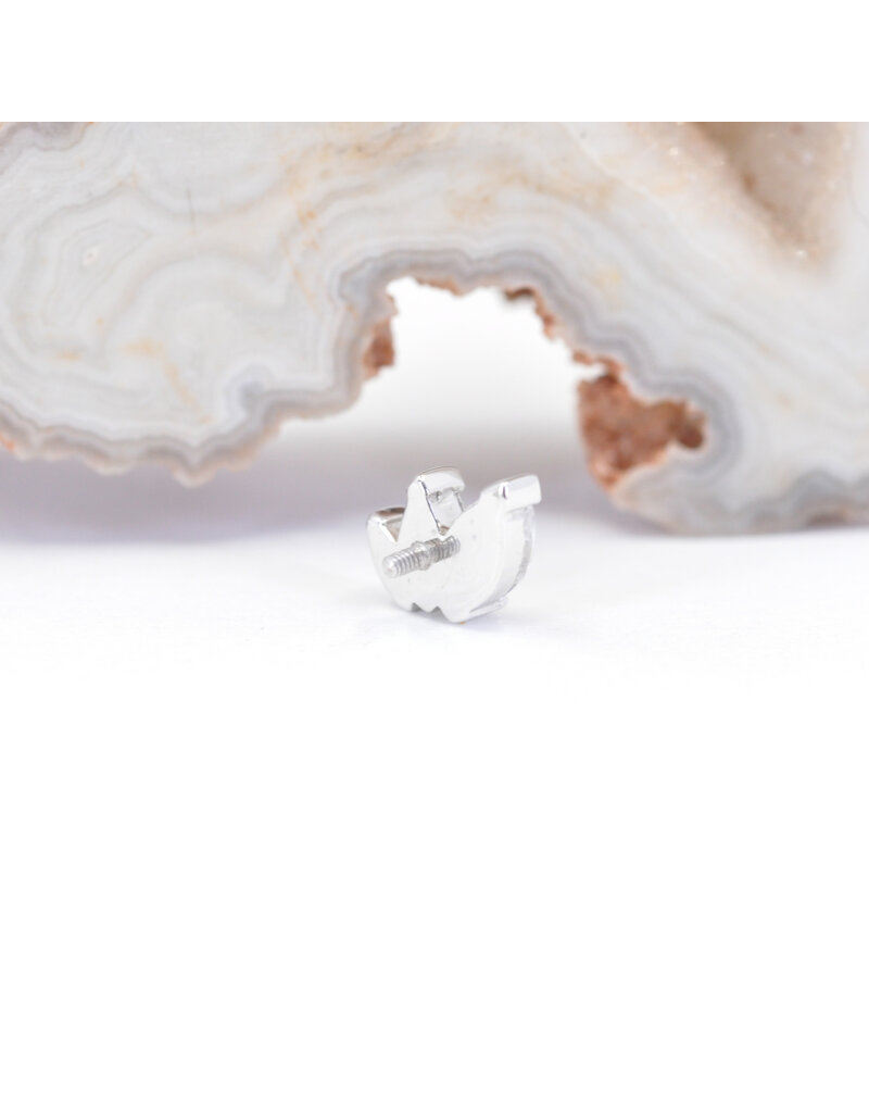 BVLA French Kiss with CZ 16g Threaded Ends in 14k Gold