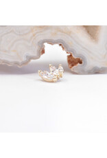 BVLA French Kiss with CZ 16g Threaded Ends in 14k Gold