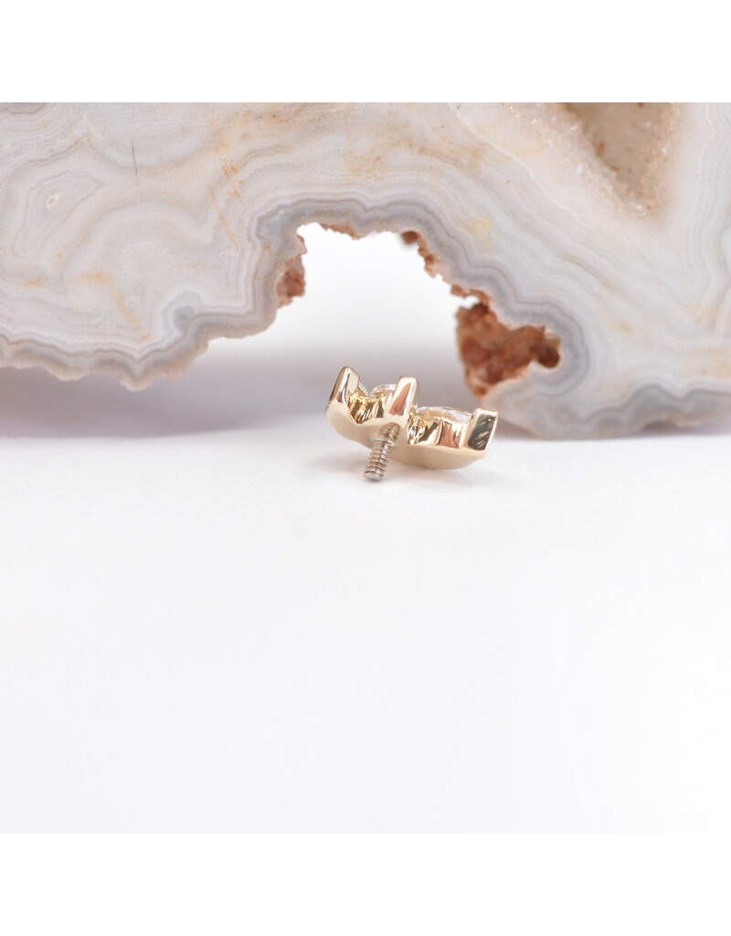 BVLA French Kiss with CZ 16g Threaded Ends in 14k Gold