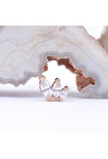 BVLA French Kiss with CZ 16g Threaded Ends in 14k Gold