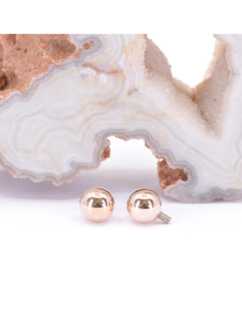 BVLA  12g 14k Gold Ball Threaded Ends by BVLA!