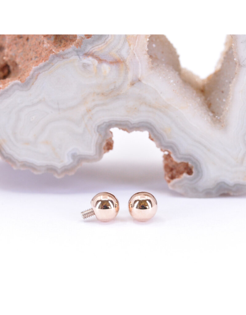 BVLA  12g 14k Gold Ball Threaded Ends by BVLA!