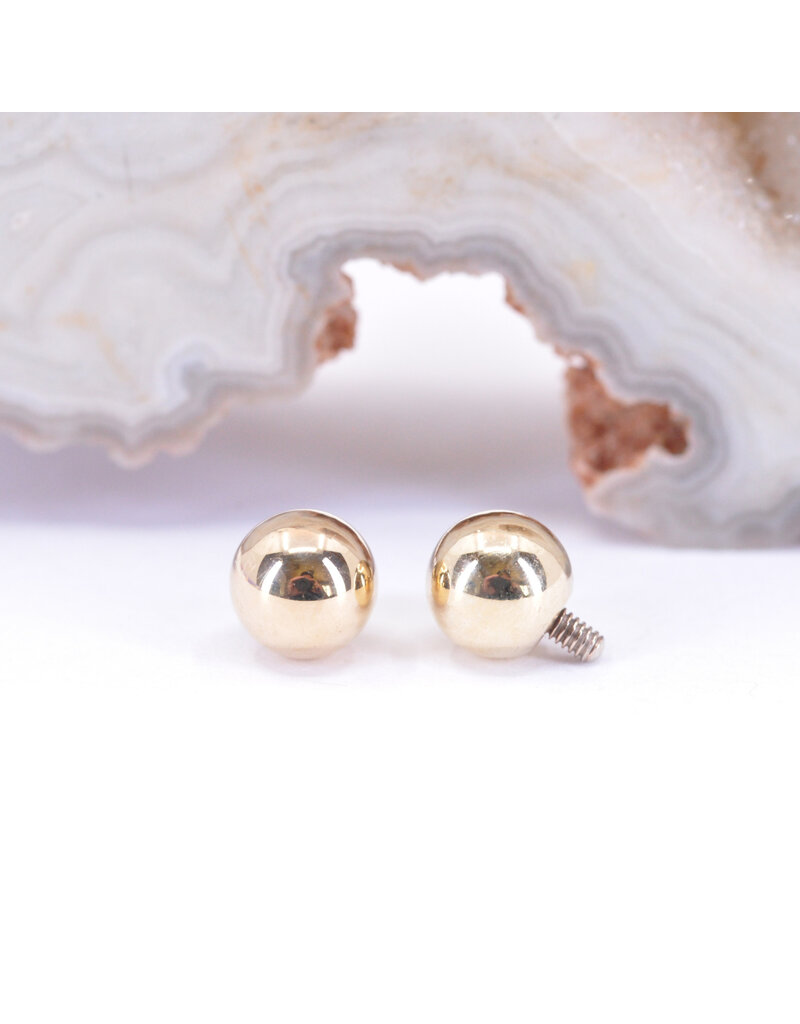 BVLA  12g 14k Gold Ball Threaded Ends by BVLA!