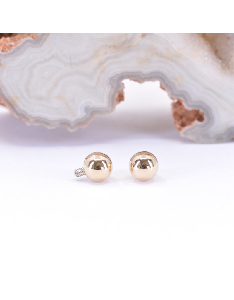 BVLA  12g 14k Gold Ball Threaded Ends by BVLA!