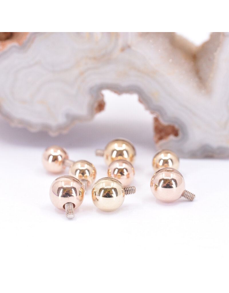 BVLA  12g 14k Gold Ball Threaded Ends by BVLA!