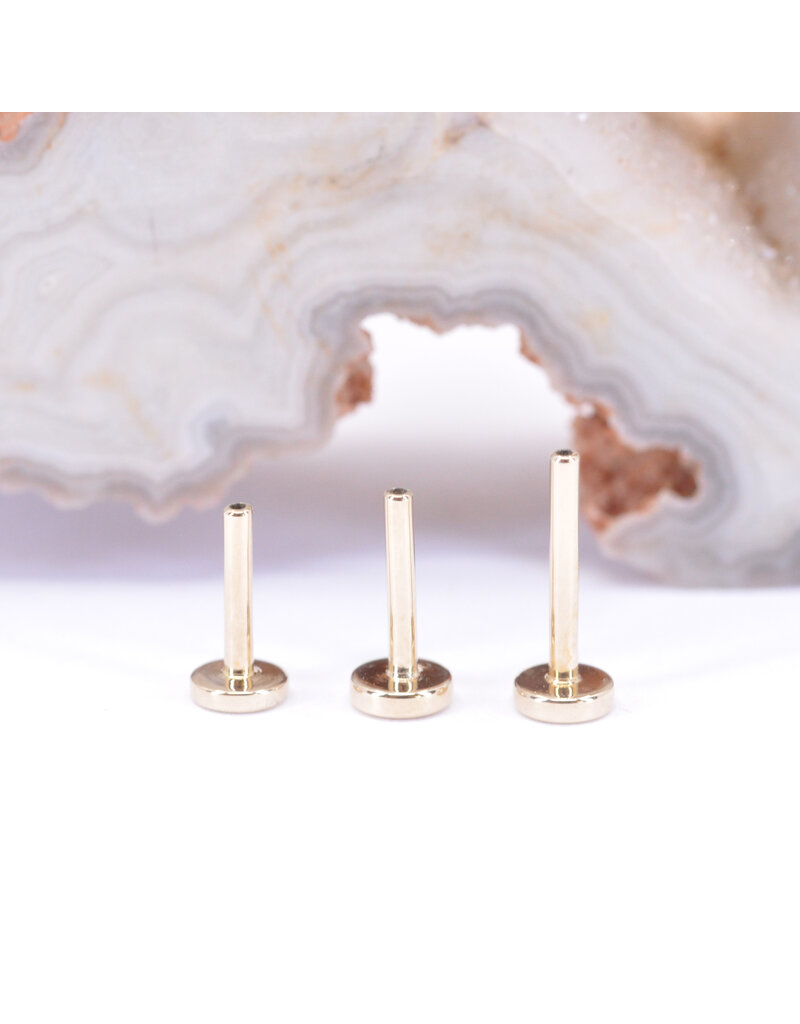 BVLA 18g 14k Yellow Gold Threadless Flat Back Posts by BVLA!