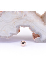 BVLA 1/8" Ball 16g Threaded End in 14k Rose Gold by BVLA!