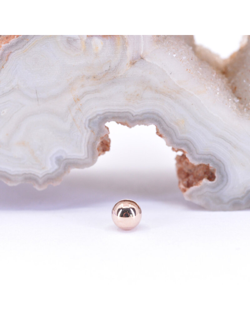 BVLA 1/8" Ball 16g Threaded End in 14k Rose Gold by BVLA!
