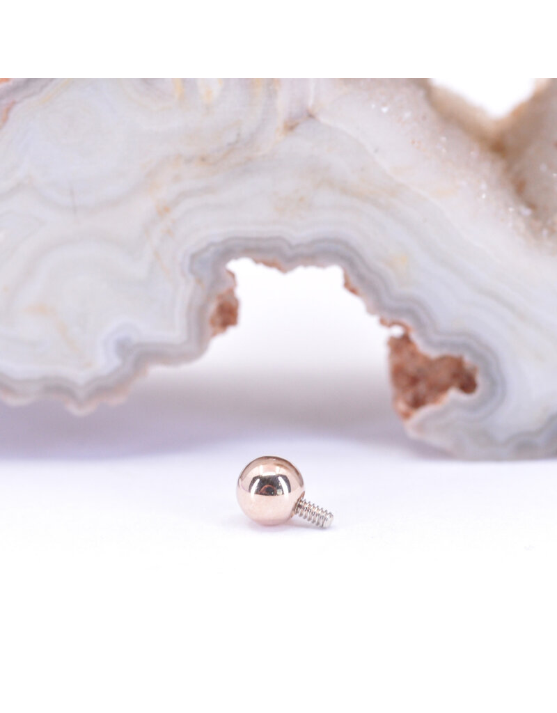 BVLA 1/8" Ball 16g Threaded End in 14k Rose Gold by BVLA!