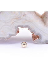BVLA 1/8" Ball 16g Threaded End in 14k Yellow Gold by BVLA!