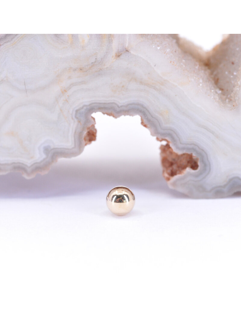 BVLA 1/8" Ball 16g Threaded End in 14k Yellow Gold by BVLA!