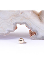 BVLA 1/8" Ball 16g Threaded End in 14k Yellow Gold by BVLA!