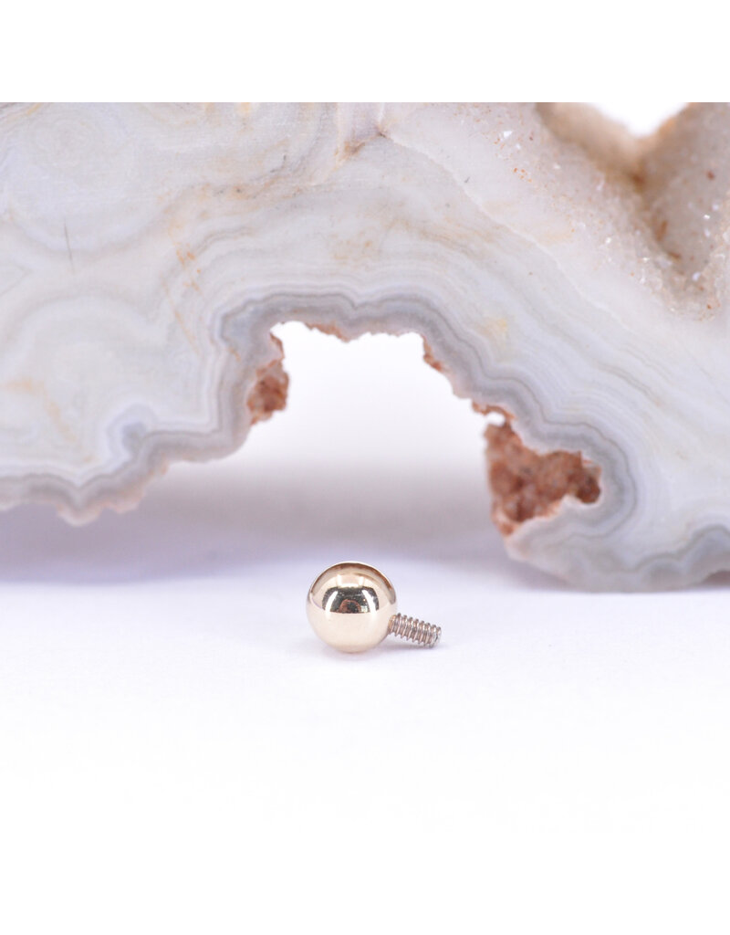BVLA 1/8" Ball 16g Threaded End in 14k Yellow Gold by BVLA!