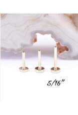 BVLA 18g 14k Yellow Gold Threadless Flat Back Posts by BVLA!