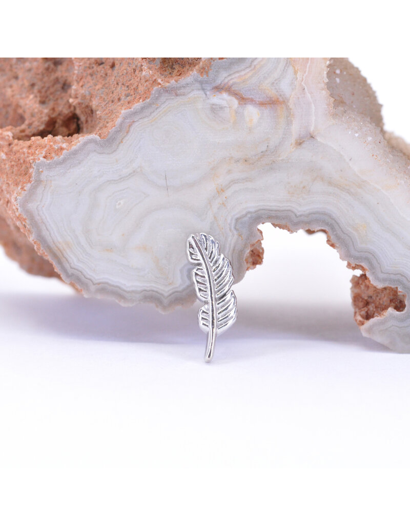 BVLA 10mm Feather 14k Gold 16g Threaded Ends by BVLA!