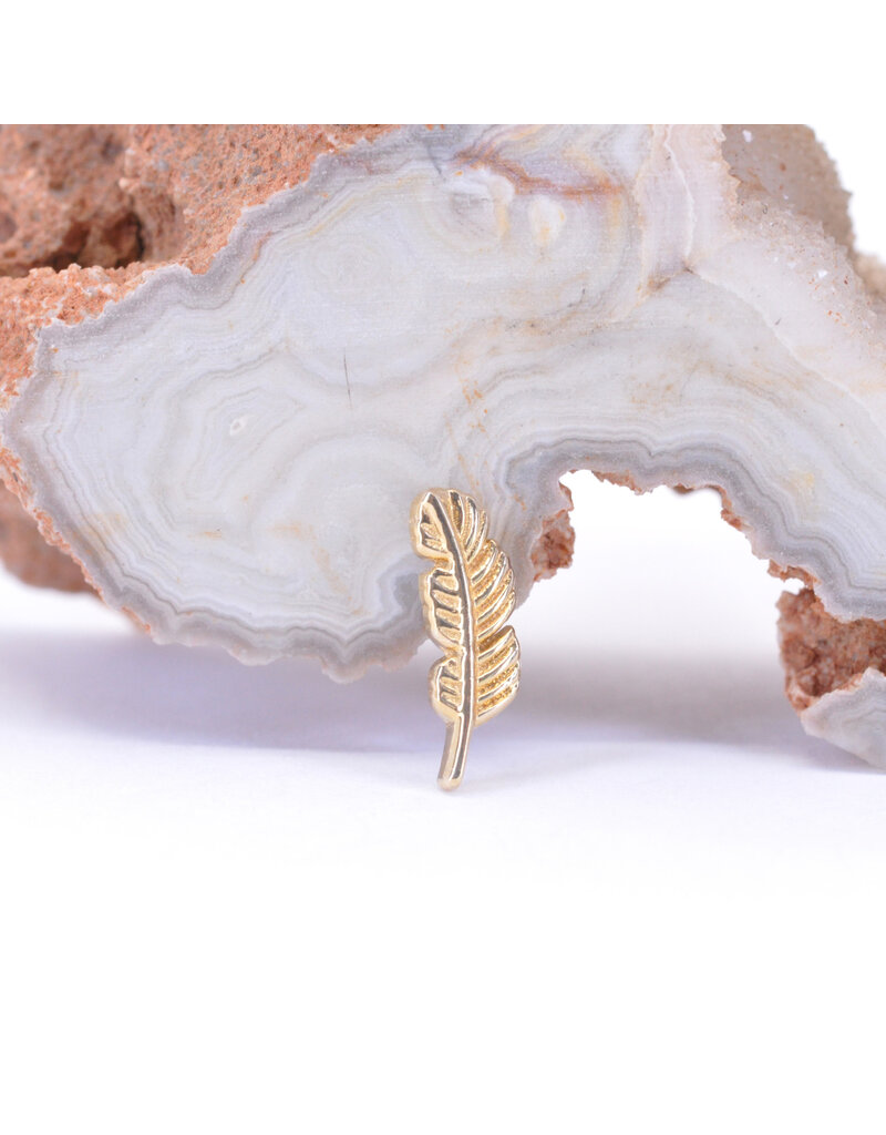 BVLA 10mm Feather 14k Gold 16g Threaded Ends by BVLA!