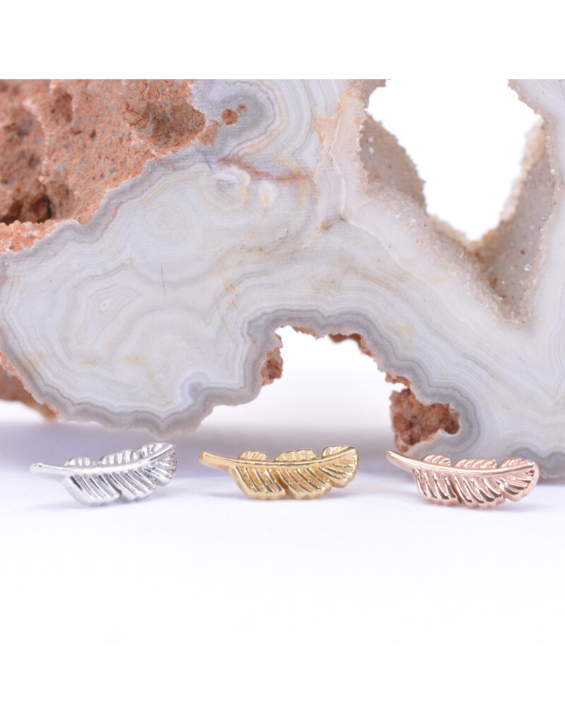 BVLA 10mm Feather 14k Gold 16g Threaded Ends by BVLA!